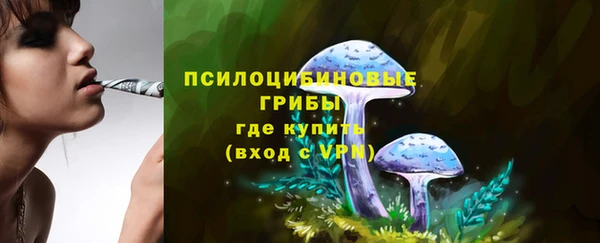 гашик Баксан