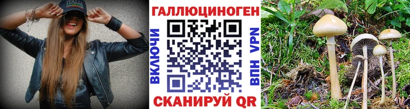 Псилоцибиновые грибы прущие грибы Кущёвская